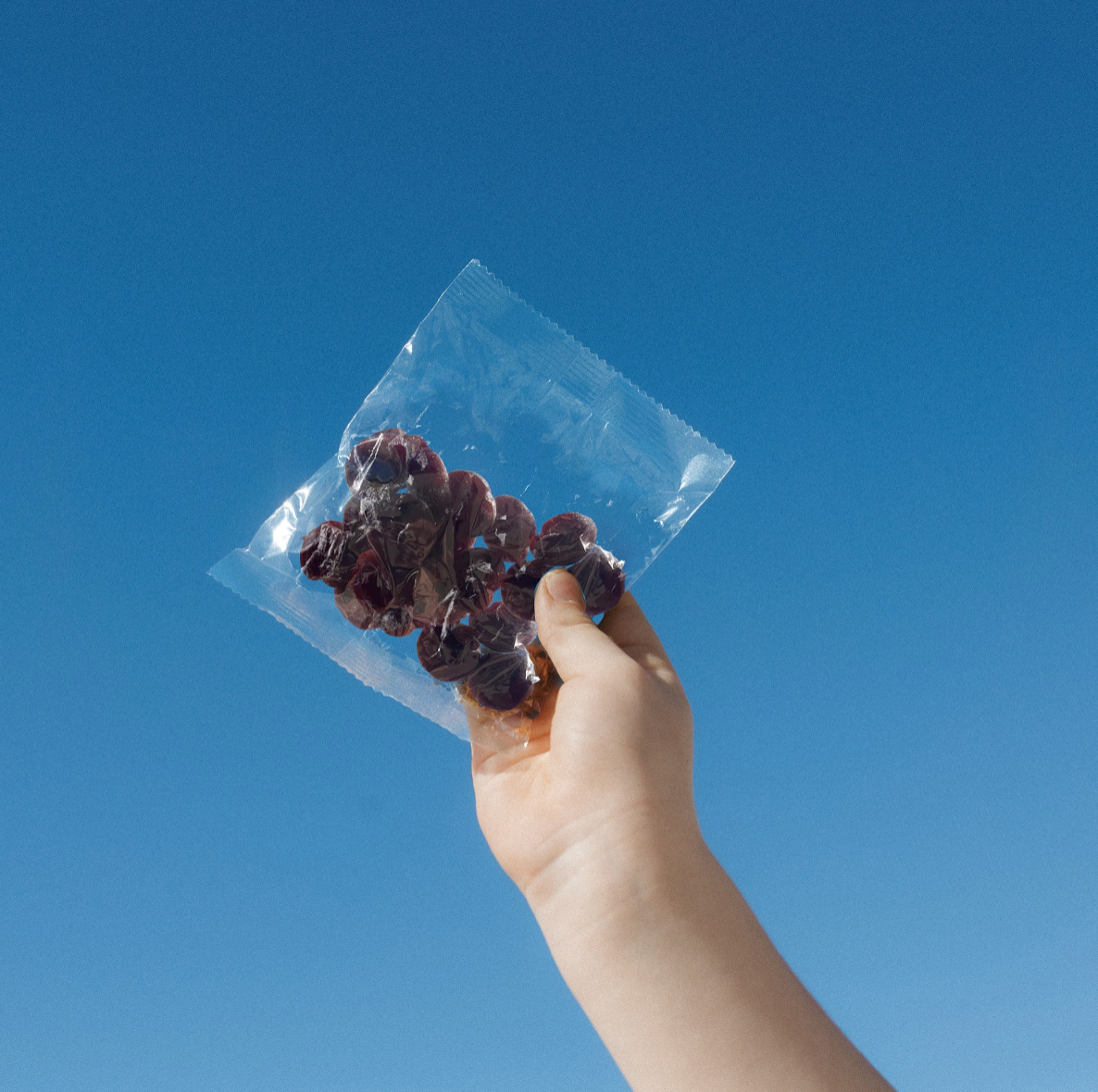 Cherry Gummies (Sun & Swell X FAVES) - 12 pack